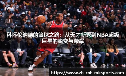 MK体育官网