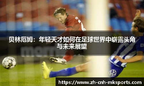mk体育官方网站